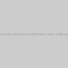 Image of Recombinant Brucella Abortus rplE Protein (strain 2308) (aa 1-185)